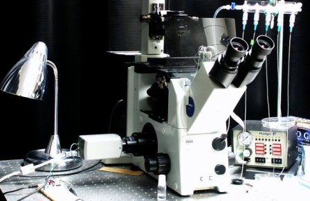 microscope