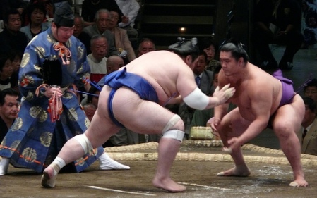 sumo