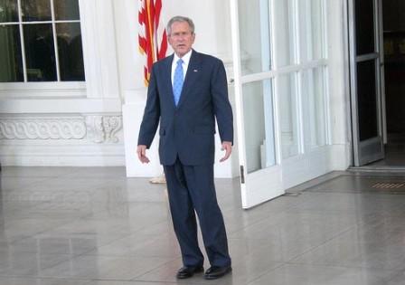 bush-oversimplified