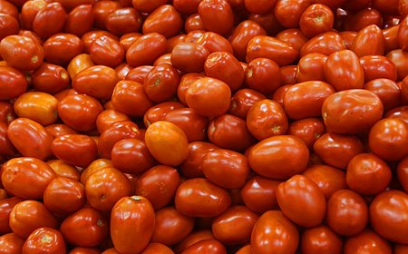 tomato