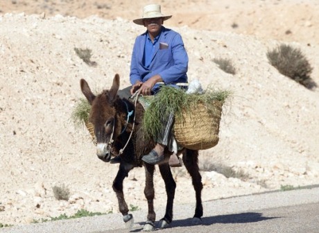 back-in-the-saddle