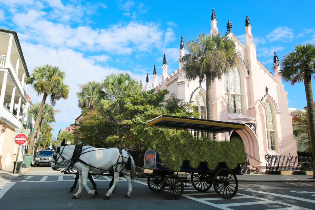 Charleston Law School Defends Health Care Program FITSNews Charleston Law School Defends Health Care Program FITSNews