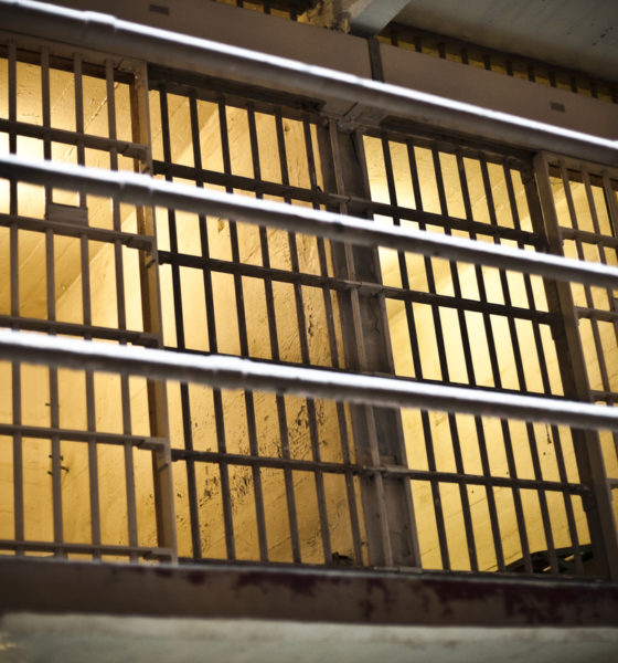 FITSNews Politics, Sports and Pop Culture