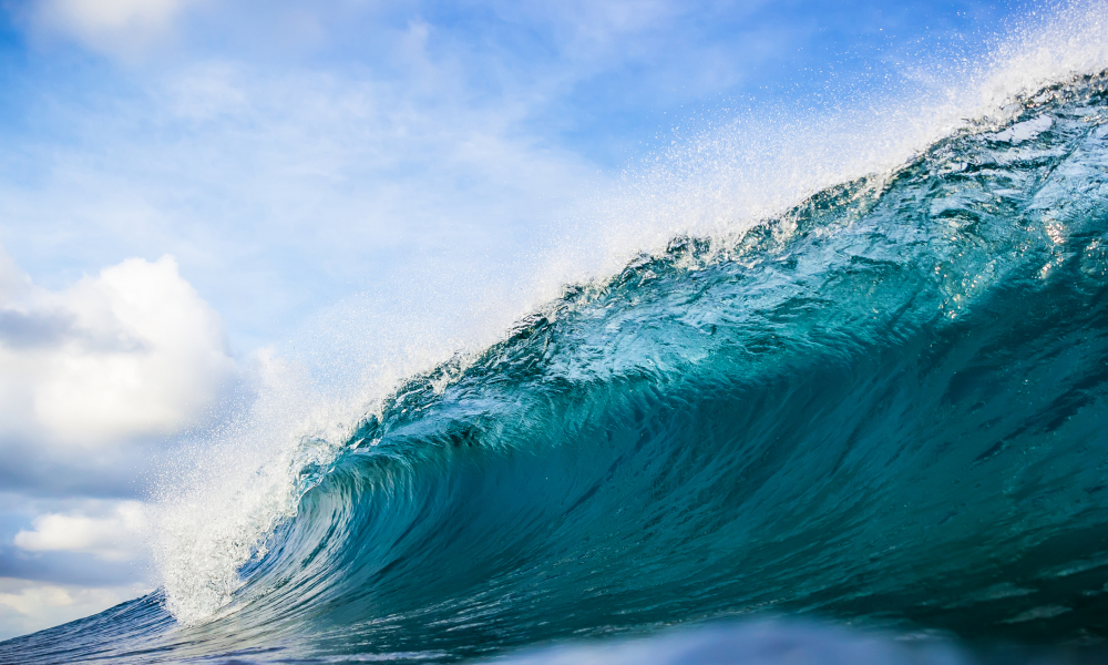 Whither The Blue Wave FITSNews