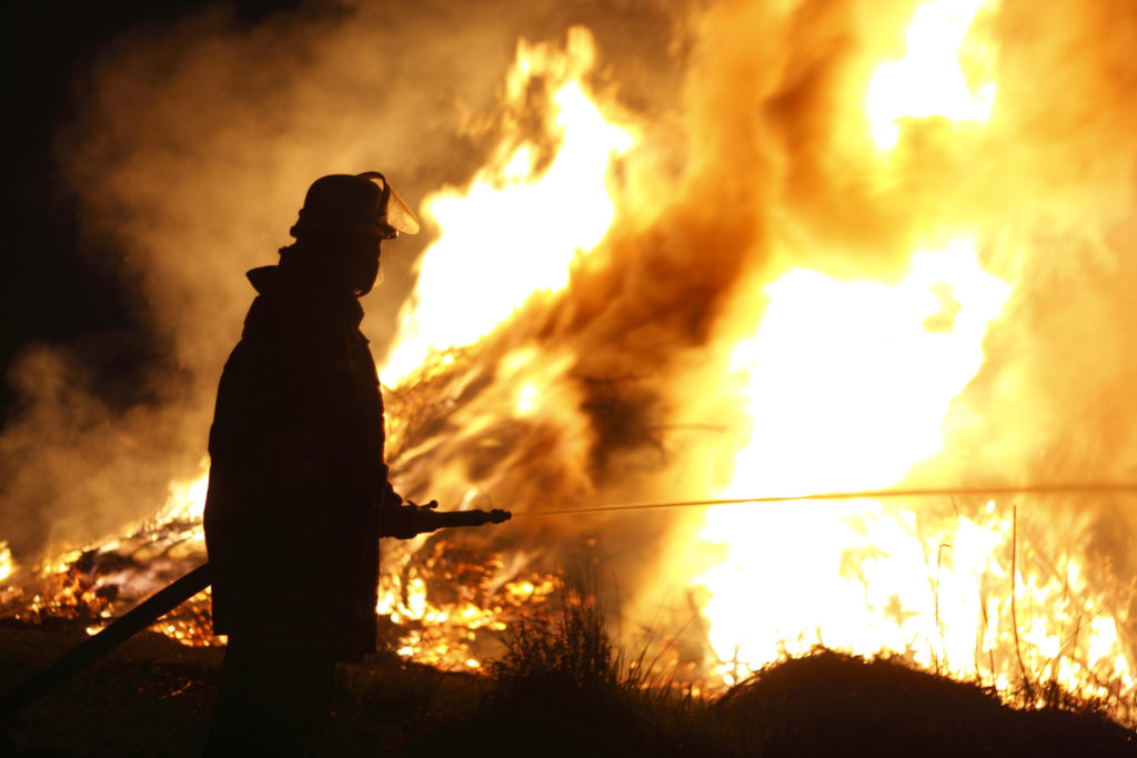 Dozens Of Horses, Two Dogs Killed In South Carolina Fire - Vimarsana News