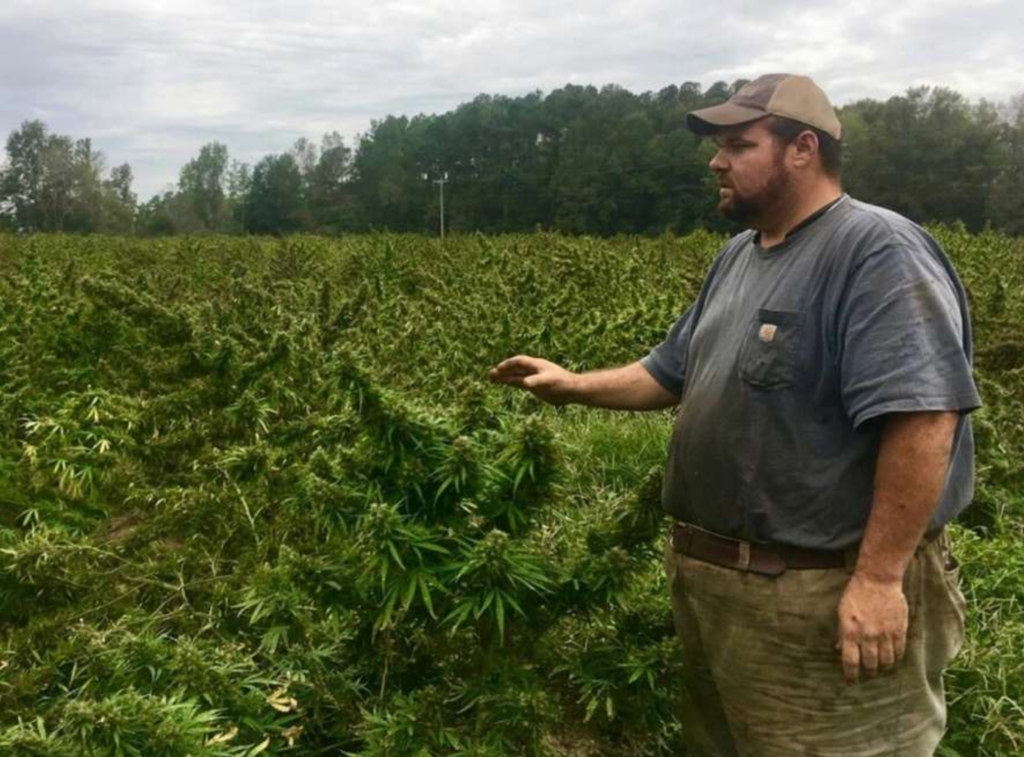 Legal Chaos Unleashed - Lawsuit Filed Against SLED and SC Attorney General After Multi-Million Dollar Crop Destruction - Vimarsana News