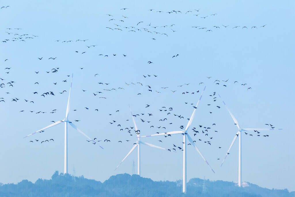 Prioleau Alexander: America's Environmental Insanity - Vimarsana News