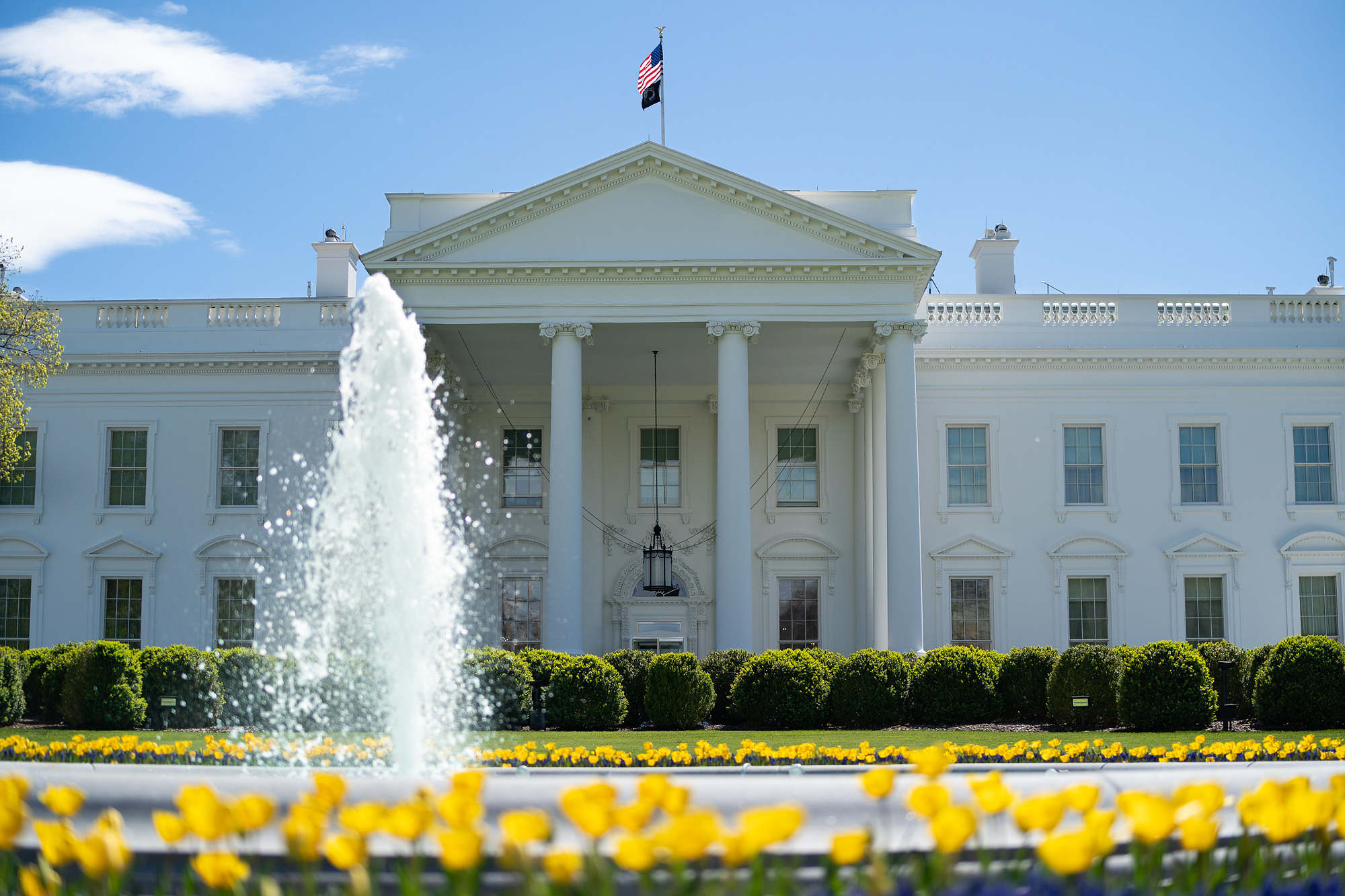 Palmetto Political Stock Index 4/28/2023 - Vimarsana News