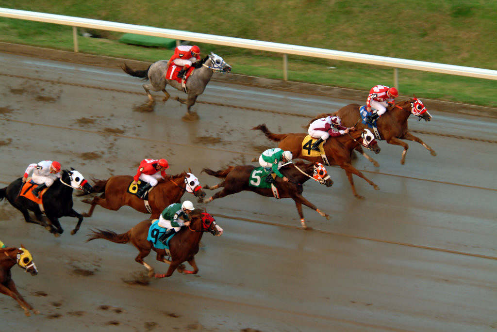 South Carolina Horse Racing Bill: Another Photo Finish? - Vimarsana News