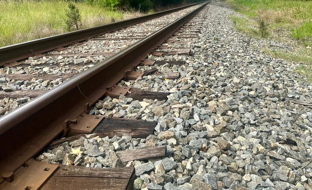 FITSFiles 'Death On The Tracks': Manner of Death - Vimarsana News