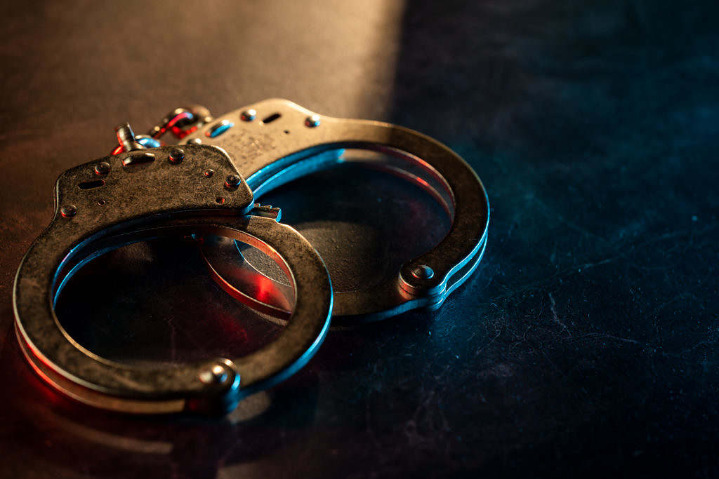 North Charleston Veterinary Assistant Hit With Multiple Drug Charges - Vimarsana News