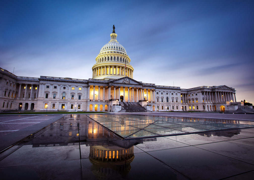 Palmetto Political Stock Index - 2/11/2024 - Vimarsana News