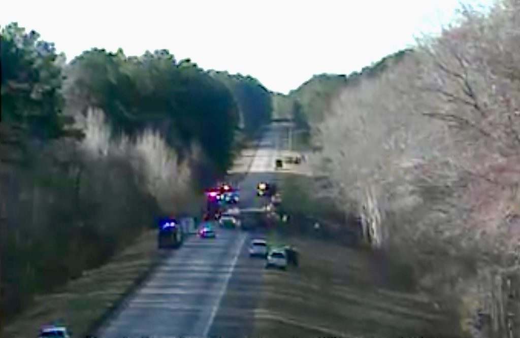 Cow Carrier Crashes On Interstate 95 - Vimarsana News