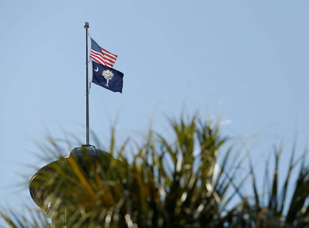 Guest Column: South Carolina Isn't A Red Or Blue State; Its A Green State - Vimarsana News
