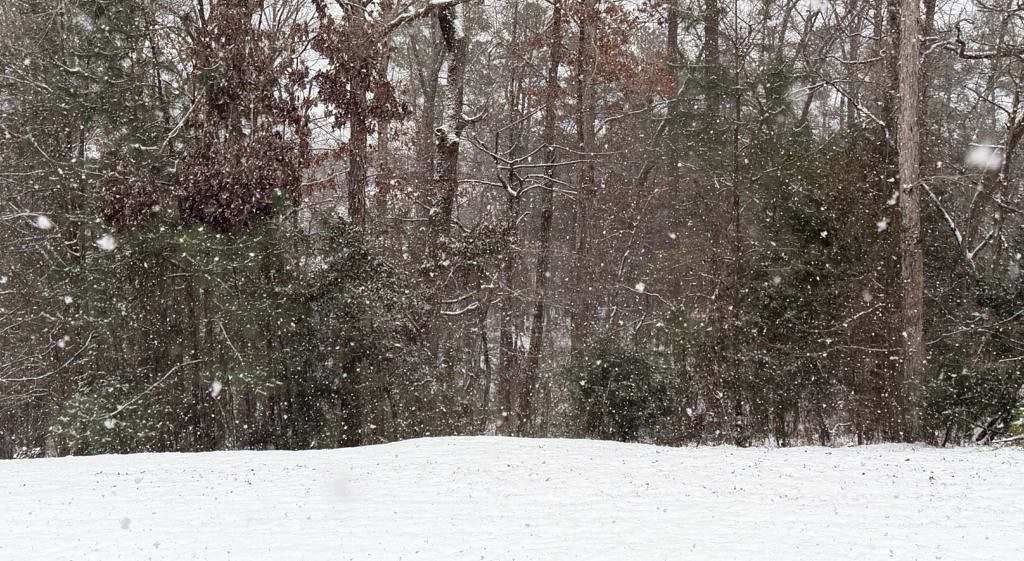 Second Winter Storm Of 2026 Blankets South Carolina In Snow FITSNews second-winter-storm-of-2026-blankets-south-carolina-in-snow-fitsnews