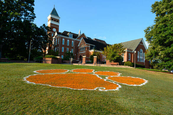 Tiger Paw, Tiger Paw on Bowman, bowman field, campus, campus life, student life